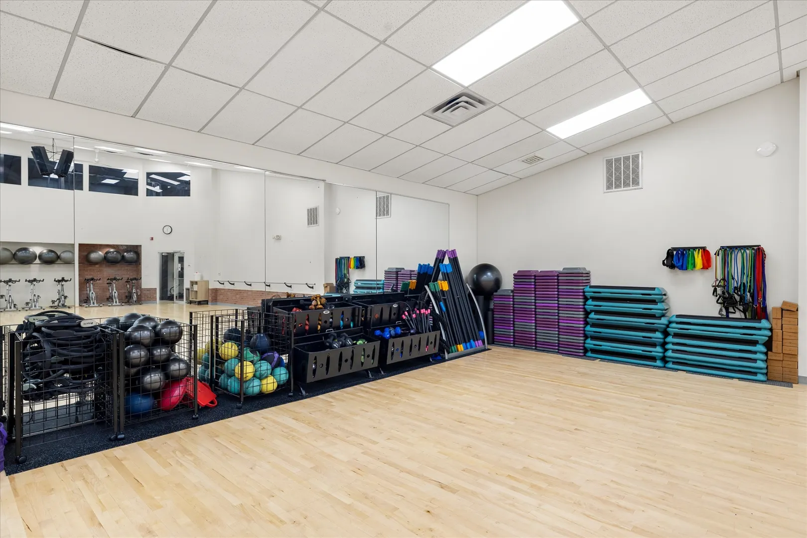 The Studio