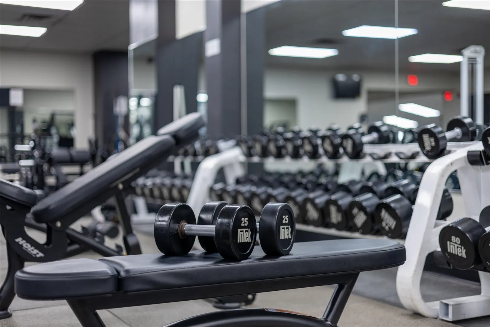 Free Weights