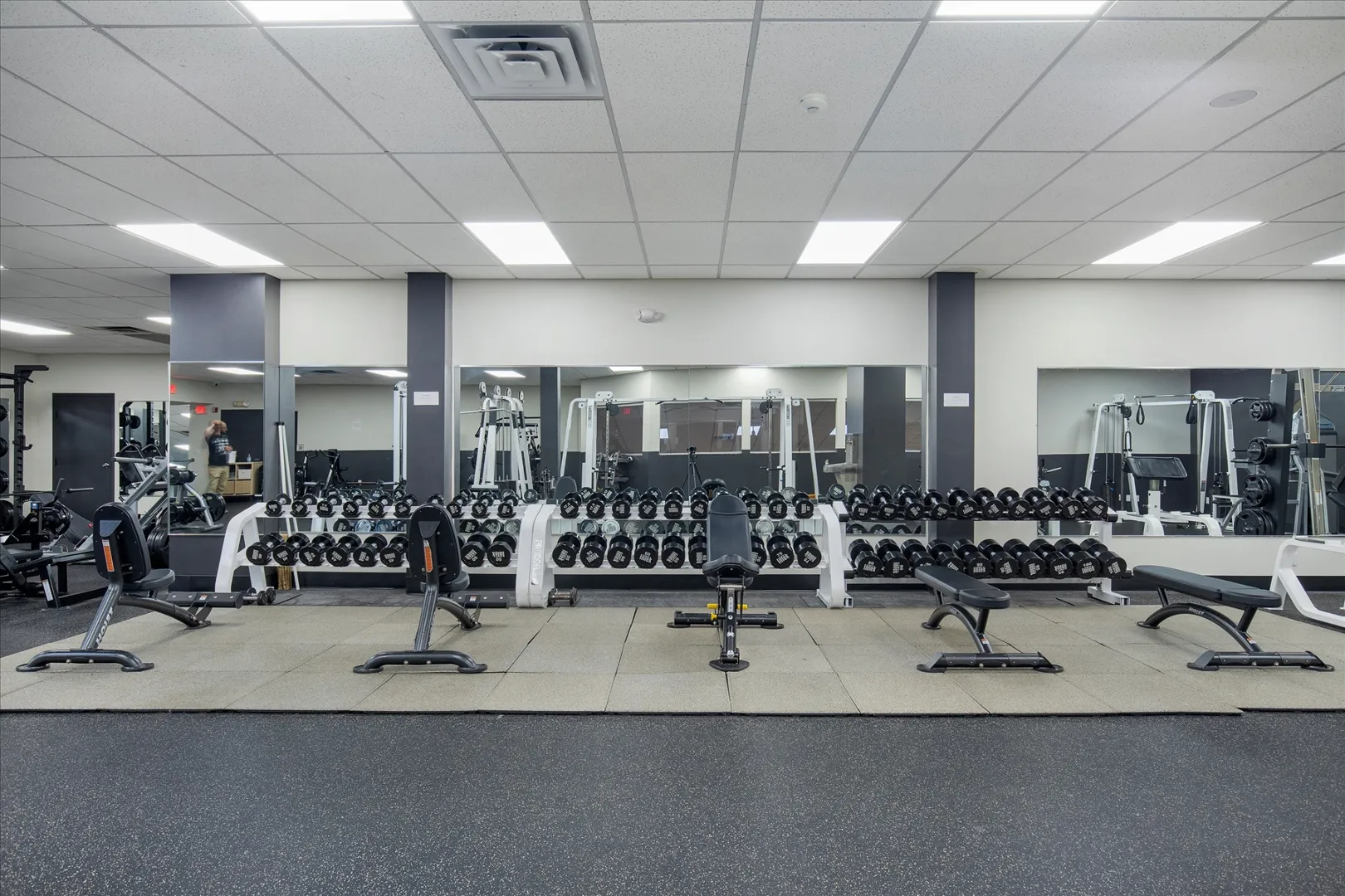 Free Weights